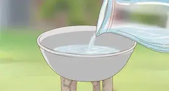 Make a Bird Bath