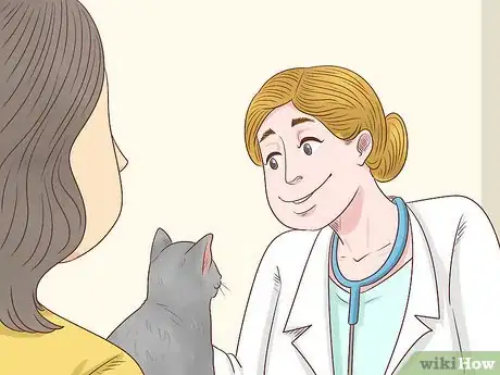 Image titled Diagnose and Treat Chlamydiosis in Cats Step 12