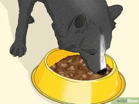 Image titled Treat Zinc Deficiency in Dogs Step 9