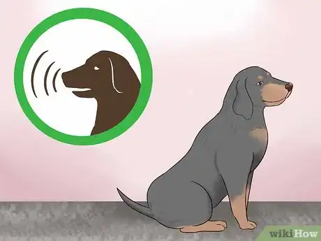 Image titled Identify a Black and Tan Coonhound Step 6
