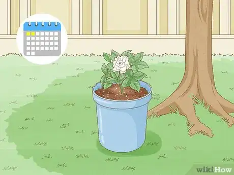 Image titled Transplant Potted Flowers Outdoors Step 15