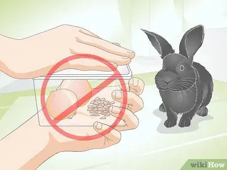 Image titled Choose Rabbit Treats Step 7
