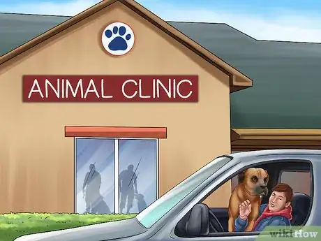 Image titled Keep Your Dog and Other Dogs Safe at the Vet Step 4