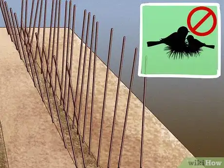 Image titled Keep Birds from Nesting Step 1