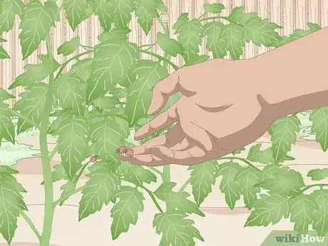 Image titled Prevent Spider Mites Step 7