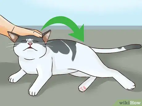 Image titled Help an Indoor Cat Being Tormented by an Outdoor Cat Step 2