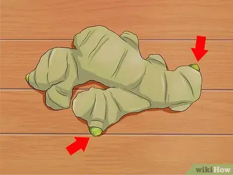Image titled Grow a Ginger Plant Step 2