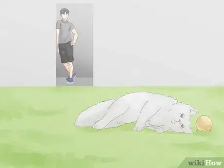 Image titled Keep a Cat from Running Away when It Is Moved Step 14