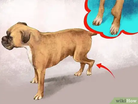 Image titled Diagnose Bone Diseases in Growing Dogs Step 1