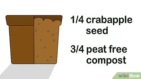 Image titled Grow Crabapple Trees Step 1