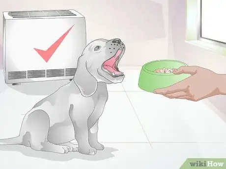 Image titled Make Feeding Comfortable for Arthritic Dogs Step 4