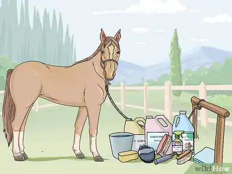Image titled Clean a Horse Step 1