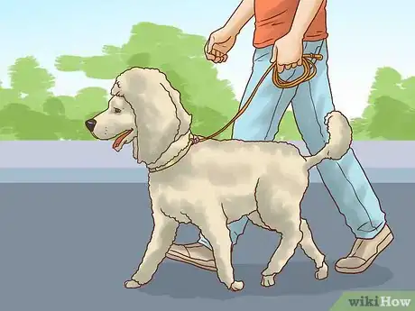 Image titled Interact with a Dog Before Adopting It Step 21