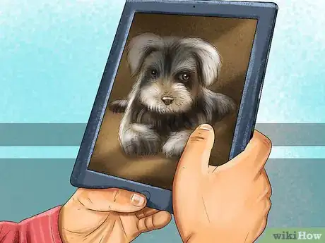 Image titled Adopt a Schnauzer Step 4
