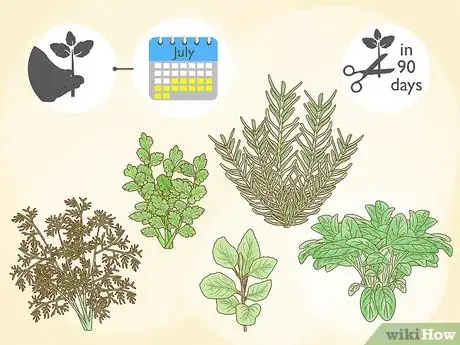 Image titled Grow a Summer Garden Step 5