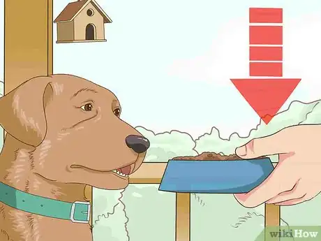 Image titled Manage Obesity in Senior Dogs Step 3