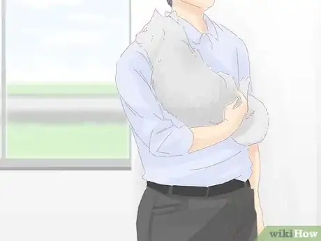 Image titled Keep a Cat from Running Away when It Is Moved Step 11