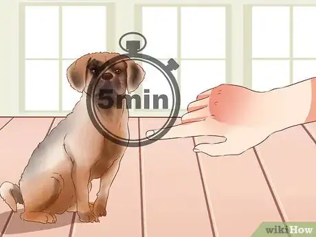 Image titled Train Puggles Step 5