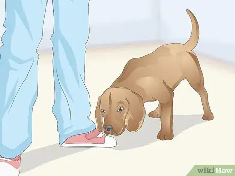 Image titled Teach a Dog to Leave It Step 10
