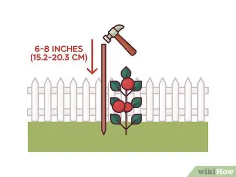 Image titled Stake Tomato Plants Step 4