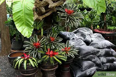 Image titled Care for Flowers Step 23