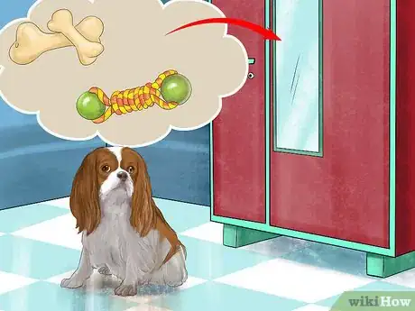 Image titled Stop Your Dog from Misbehaving Dangerously Step 10