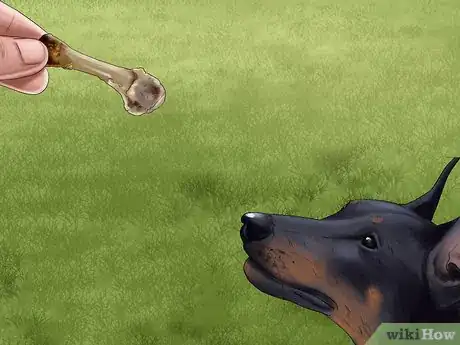 Image titled Train a Manchester Terrier Step 1