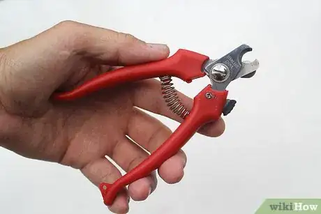 Image titled Make a Homemade Cat Spa Step 15