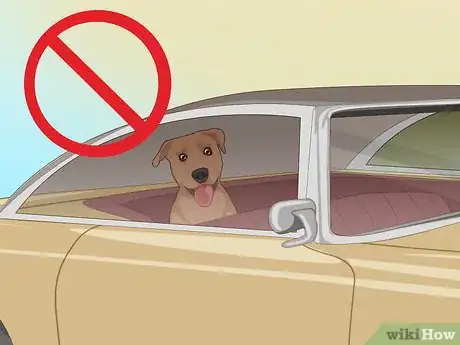Image titled Keep a Dog Cool in Hot Weather Step 9
