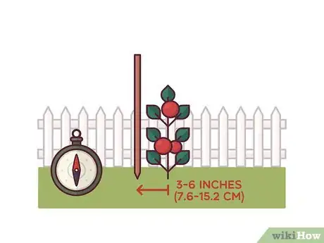 Image titled Stake Tomato Plants Step 3