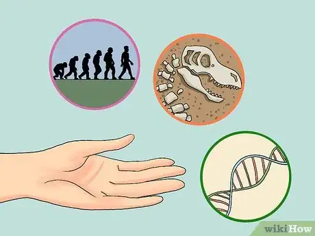 Image titled Defend Evolutionism Against Creationism Step 7