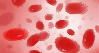 Increase Hemoglobin Levels