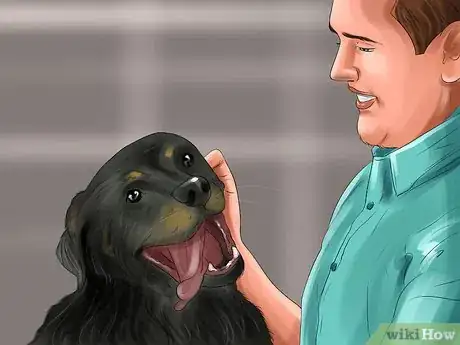 Image titled Adopt a Sporting Dog Step 7