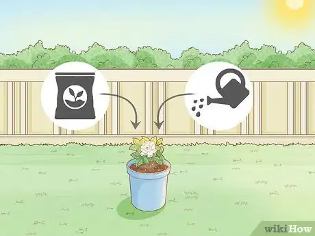 Image titled Transplant Potted Flowers Outdoors Step 21