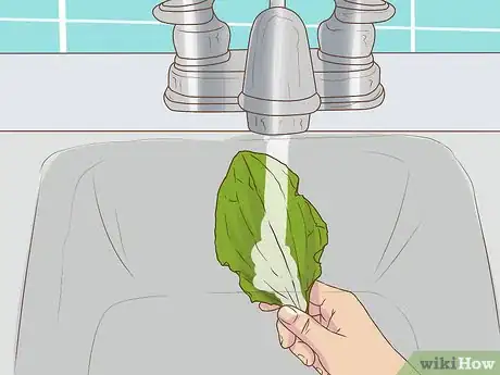 Image titled Harvest Plantain Leaves Step 7