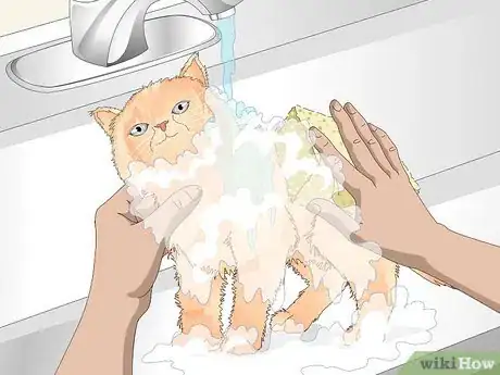 Image titled Keep Your Cat Clean Step 7