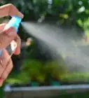 Make Soapy Water Garden Spray