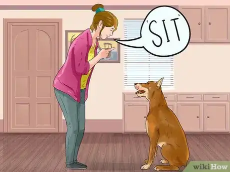 Image titled Get Your Dog Paid TV Appearances Step 5