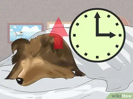 Image titled Tell if a Dog Is in Pain Step 9