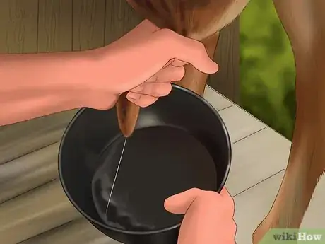Image titled Milk a Goat by Hand Step 9