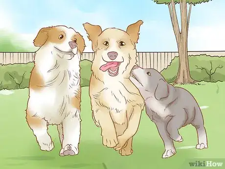 Image titled Train a Therapy Dog Step 2