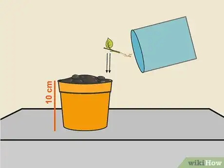 Image titled Grow Hot Peppers Step 4