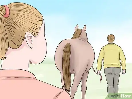 Image titled Handle Hind Leg Problems in Horses Step 4
