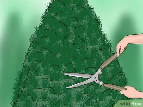 Image titled Create a Christmas Tree Forest Step 11