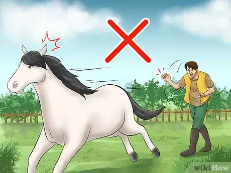 Image titled Catch a Horse Step 4