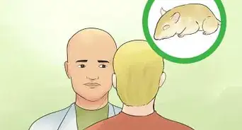 Care for a Shaw's Jird