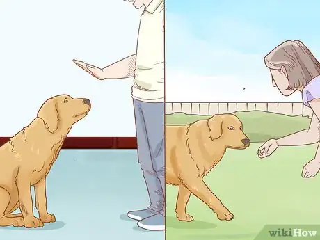 Image titled Train a Therapy Dog Step 3