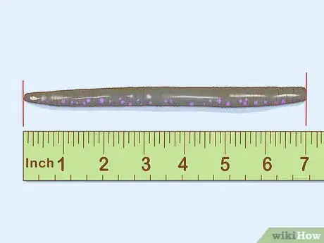 Image titled Fish Senko Step 3