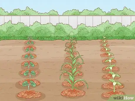 Image titled Grow a Summer Garden Step 8