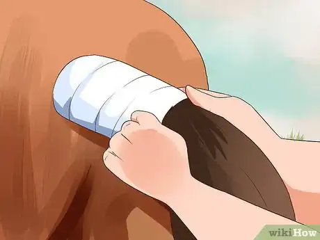 Image titled Apply a Horse Tail Bandage Step 5